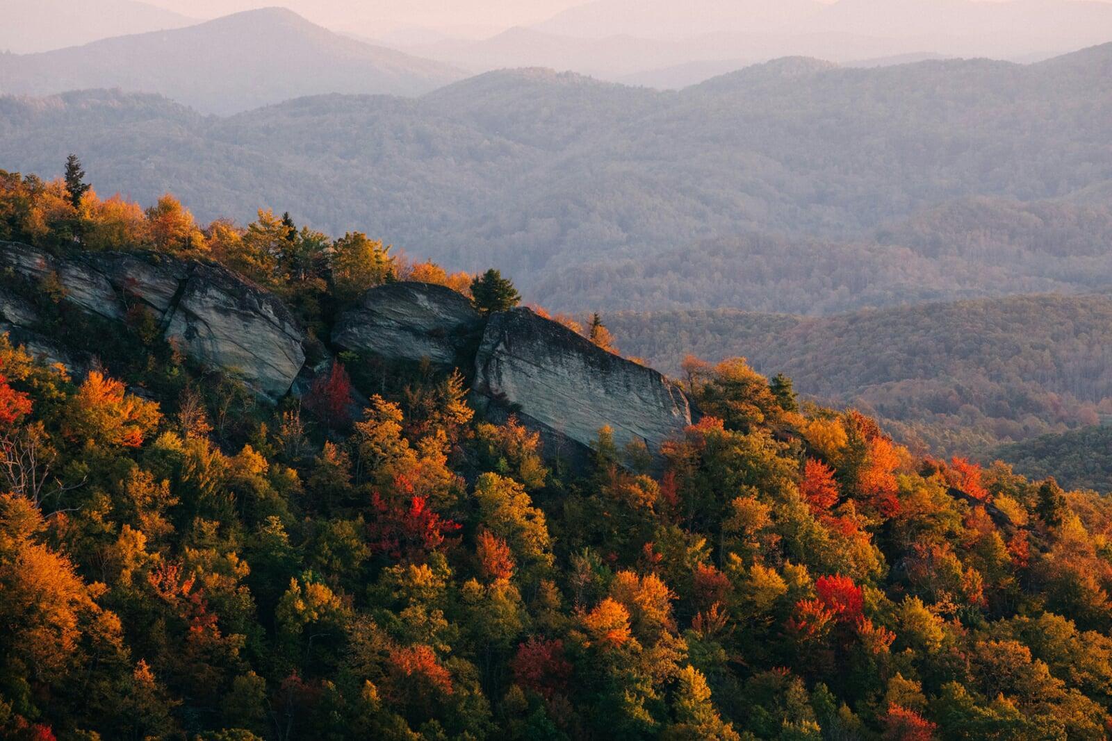 North Carolina wilderness