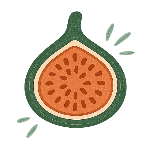 Fig Tree Web Design | Transparently Priced Small Business Websites
